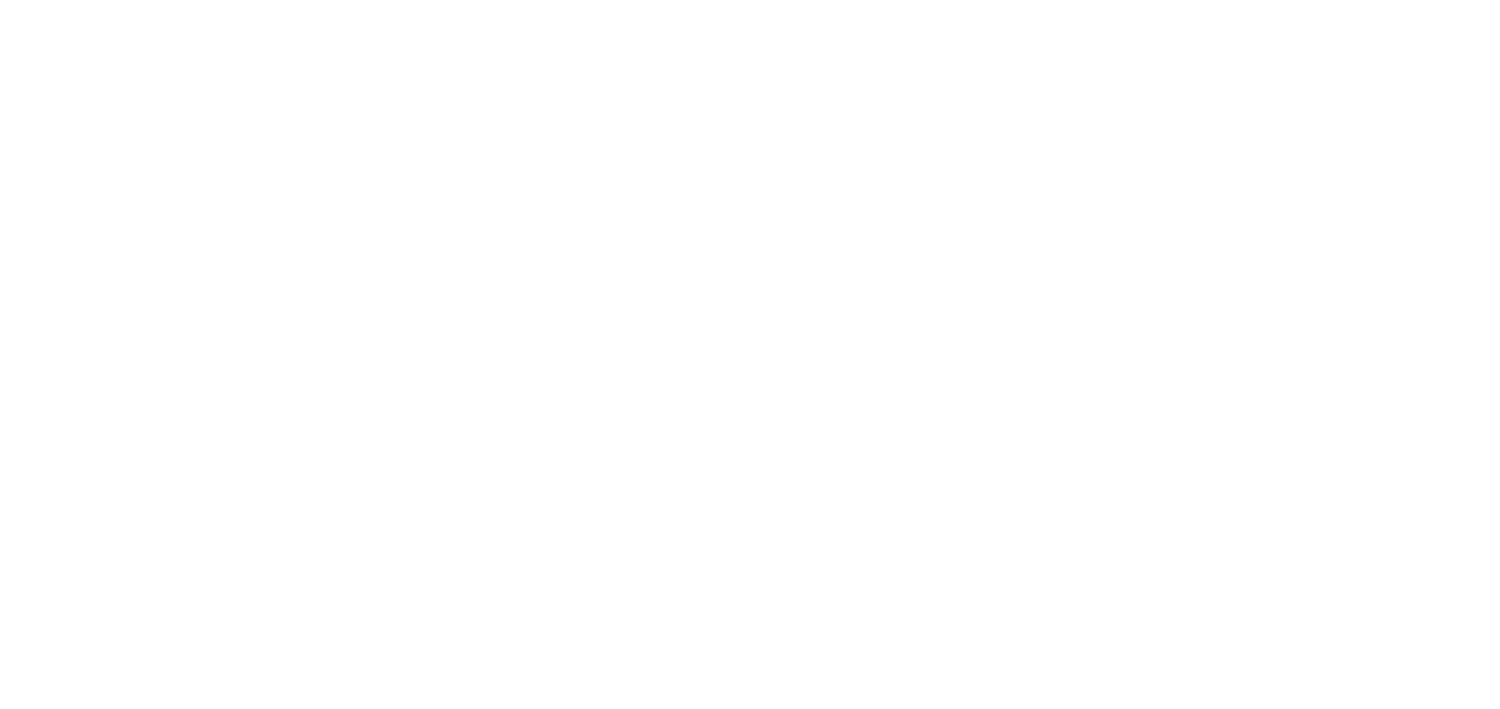 Fitzen_Studio_Logo